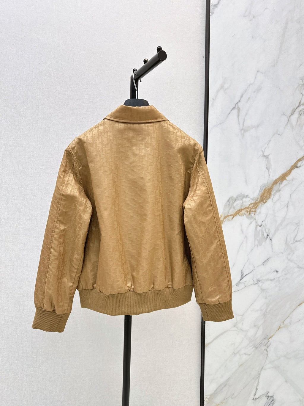 Dior / 26 Early Autumn Latest Jacket