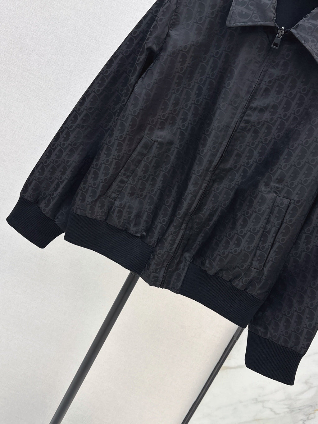 Dior / 26 Early Autumn Latest Jacket