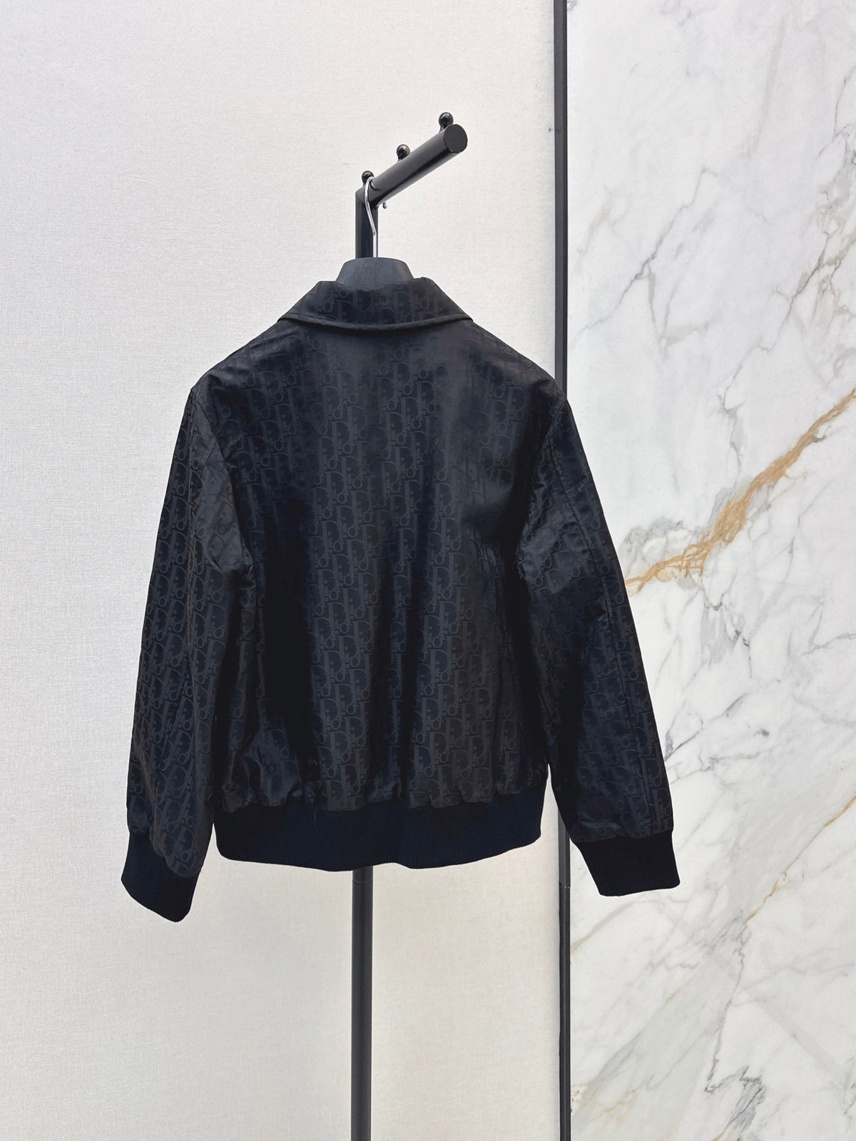 Dior / 26 Early Autumn Latest Jacket